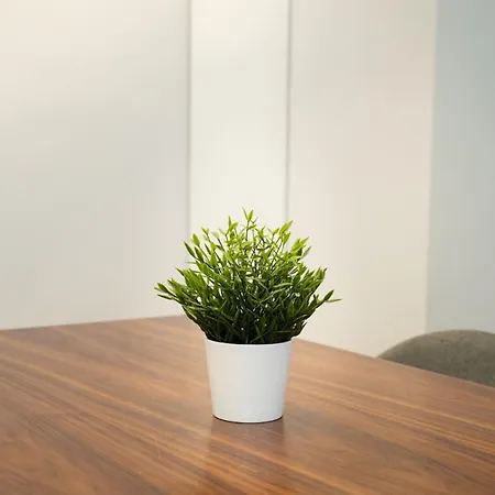 Ribera Old Town Lägenhet Bilbao