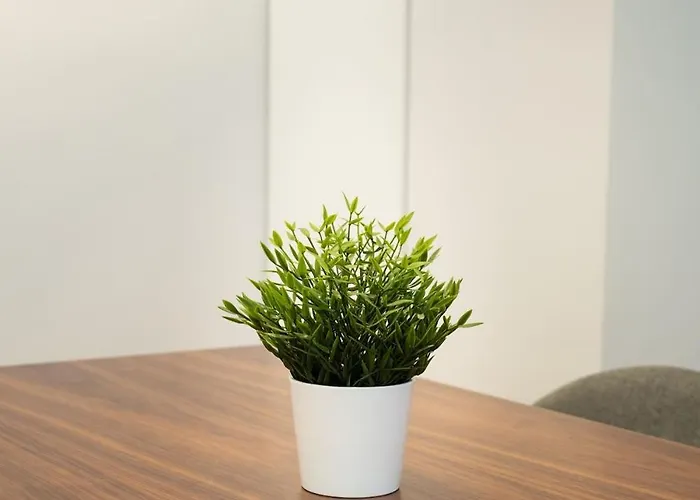 Ribera Old Town Appartement Bilbao